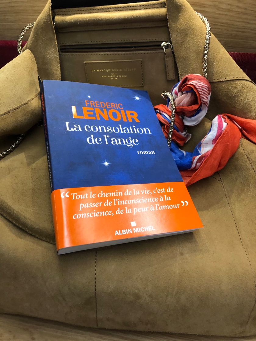 La Consolation de l'Ange, Frédéric Lenoir
